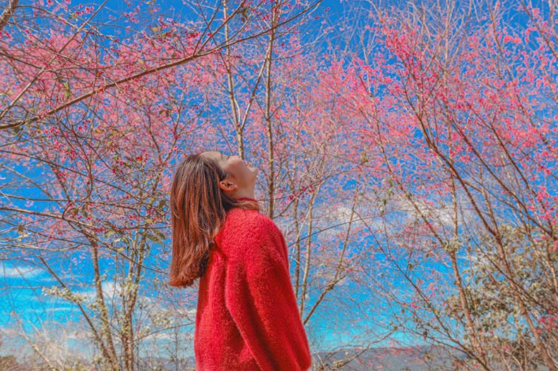 Mộng Đào Nguyên Lâm Đồng