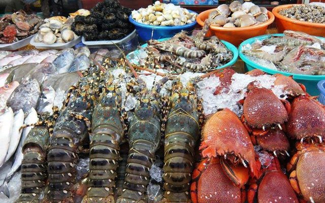 cam-nang-du-lich-ha-long-quang-ninh