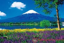 Mùa hè ở Nhật Bản