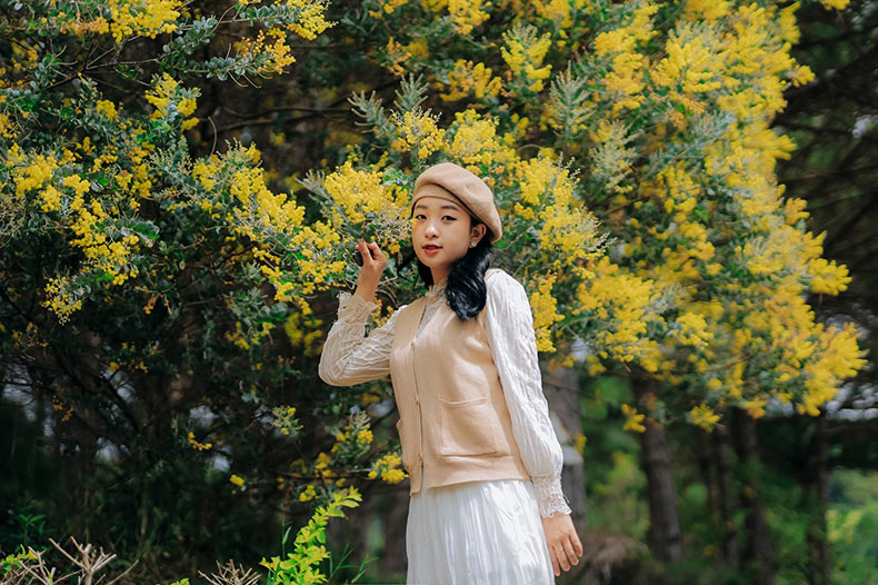 Ý nghĩa của hoa Mimosa