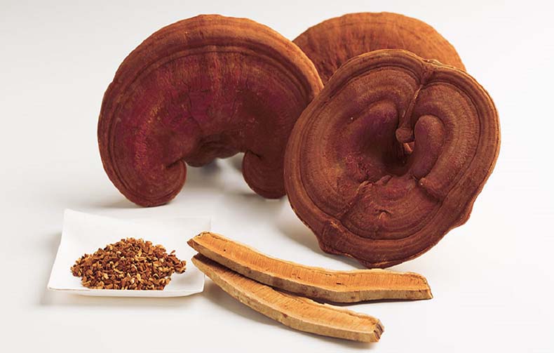 ve-may-bay-pacific-airlines-ho-chi-minh-di-pleiku