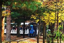 Tỉnh Gangwon Hàn Quốc