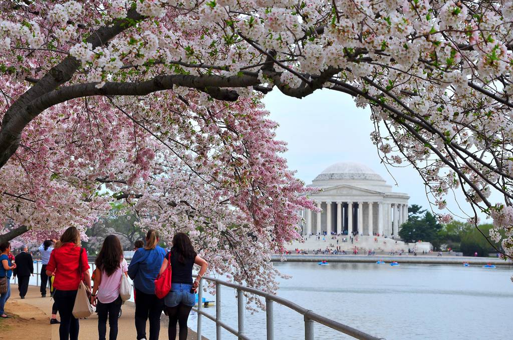 nen-di-du-lich-my-vao-thang-may