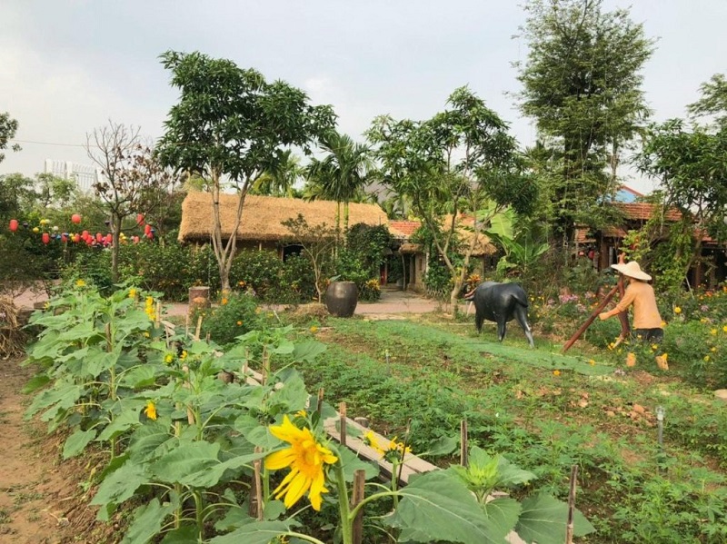 Không gian xanh Quảng Ninh Gate