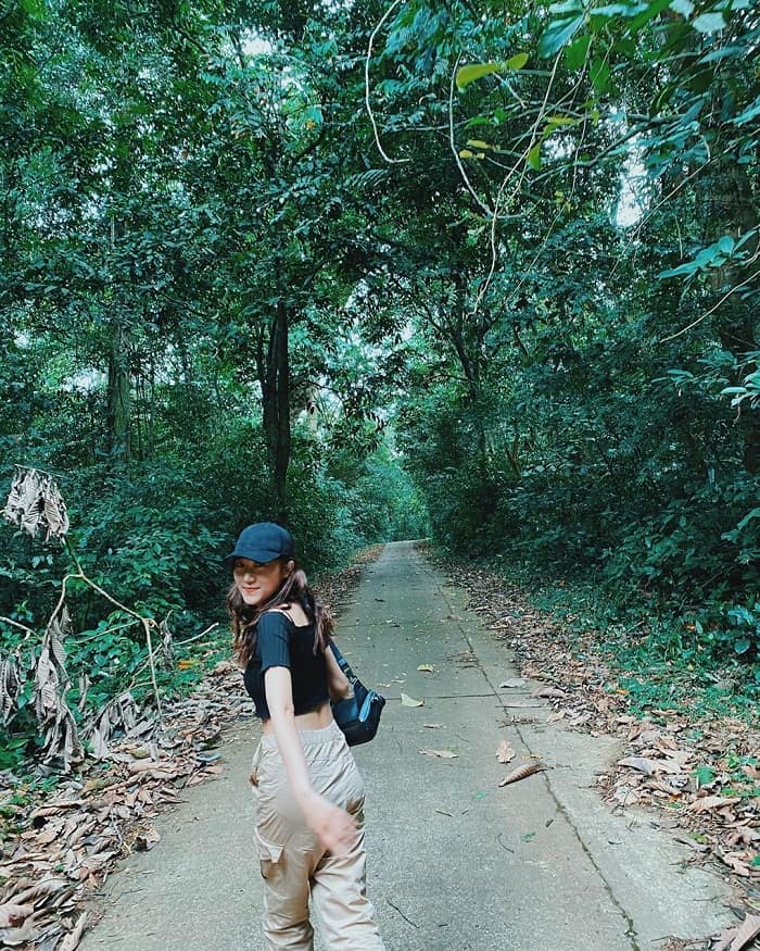 rung-cuc-phuong-ninh-binh