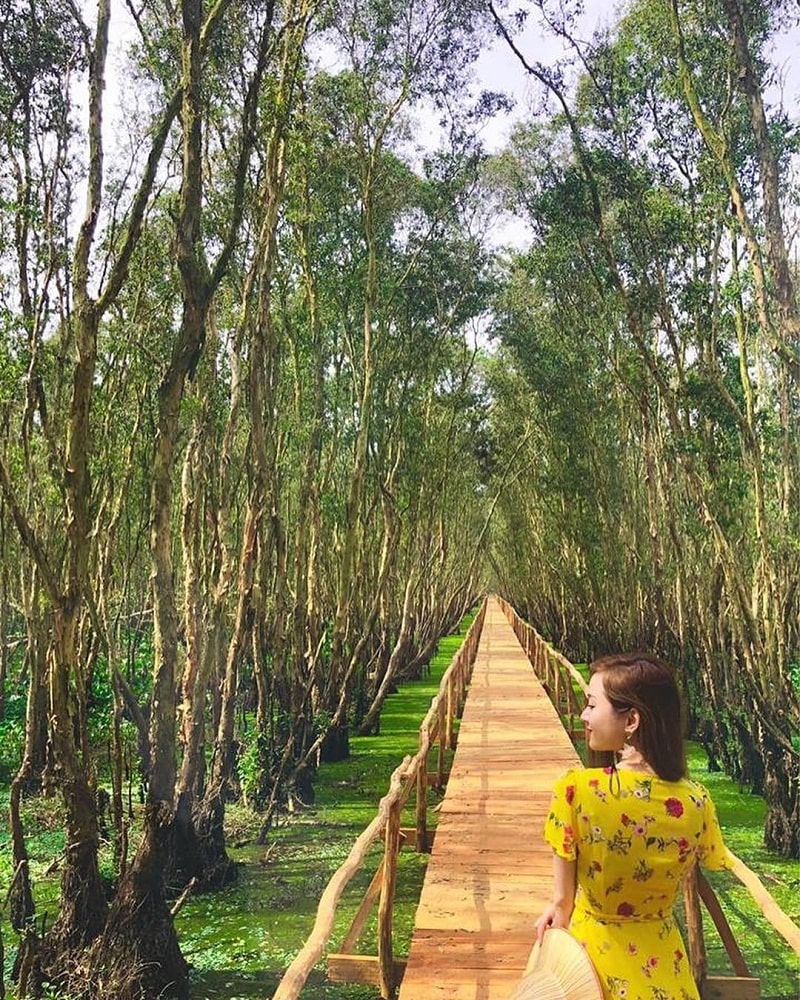 rừng Tràm Trà Sư có gì