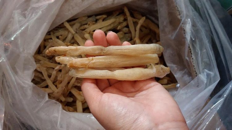 mua gì làm quà khi du lịch Vân Đồn