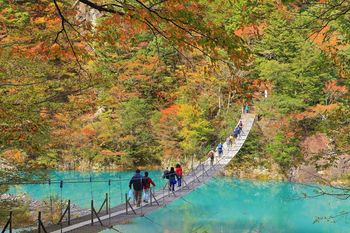 Khí hậu ở Shizuoka Nhật Bản nhìn chung là ấm áp