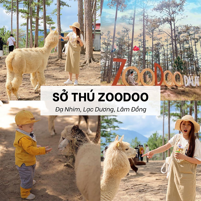 Thông tin về sở thú ZooDoo