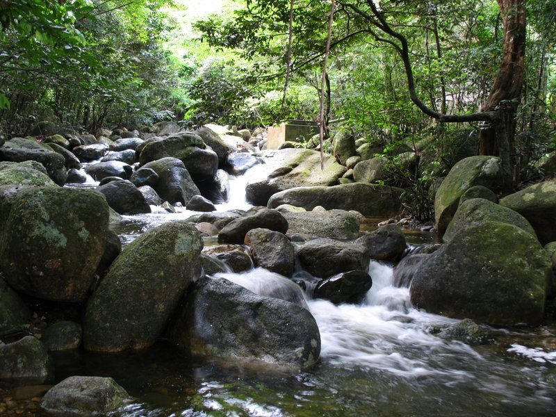 suoi-giai-oan-yen-tu-quang-ninh