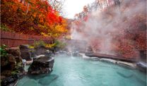 Suối nước nóng Nhật Bản