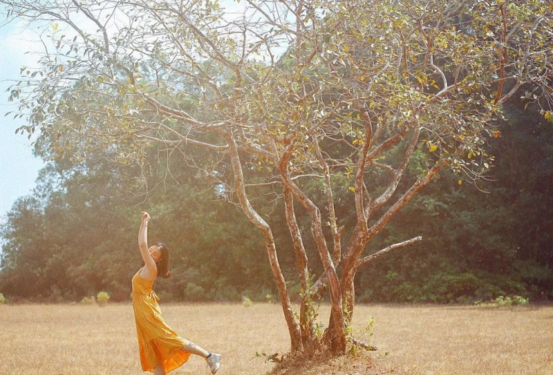 Trảng cỏ Bù Lạch