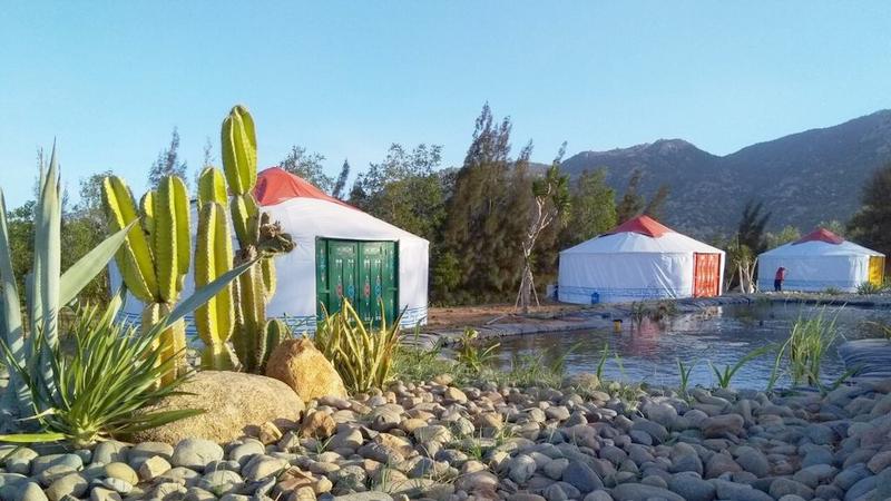 giới thiệu về Tanyoli Ninh Thuận