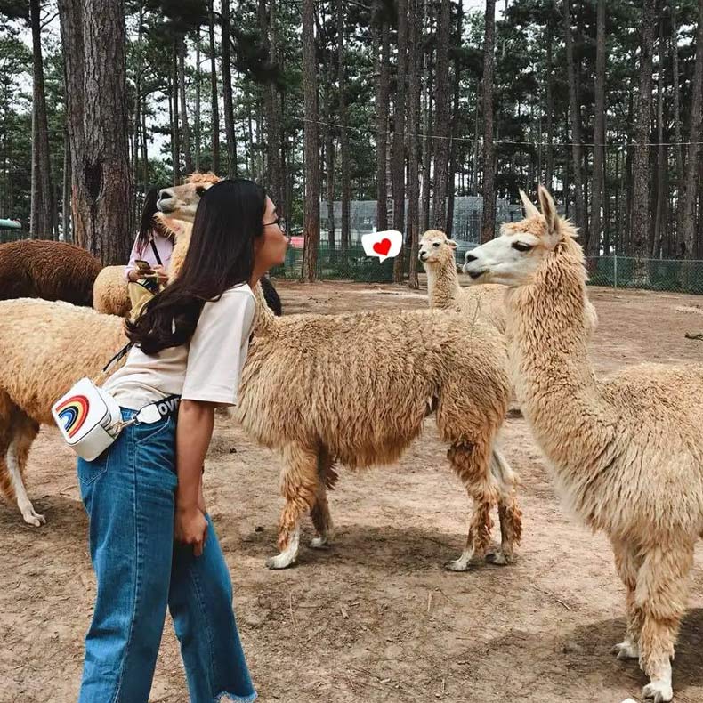 Tham quan vườn thú ZooDoo