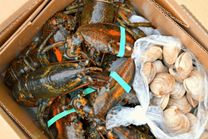 Thịt/ hải sản tươi sống có được phép mang lên máy bay không?