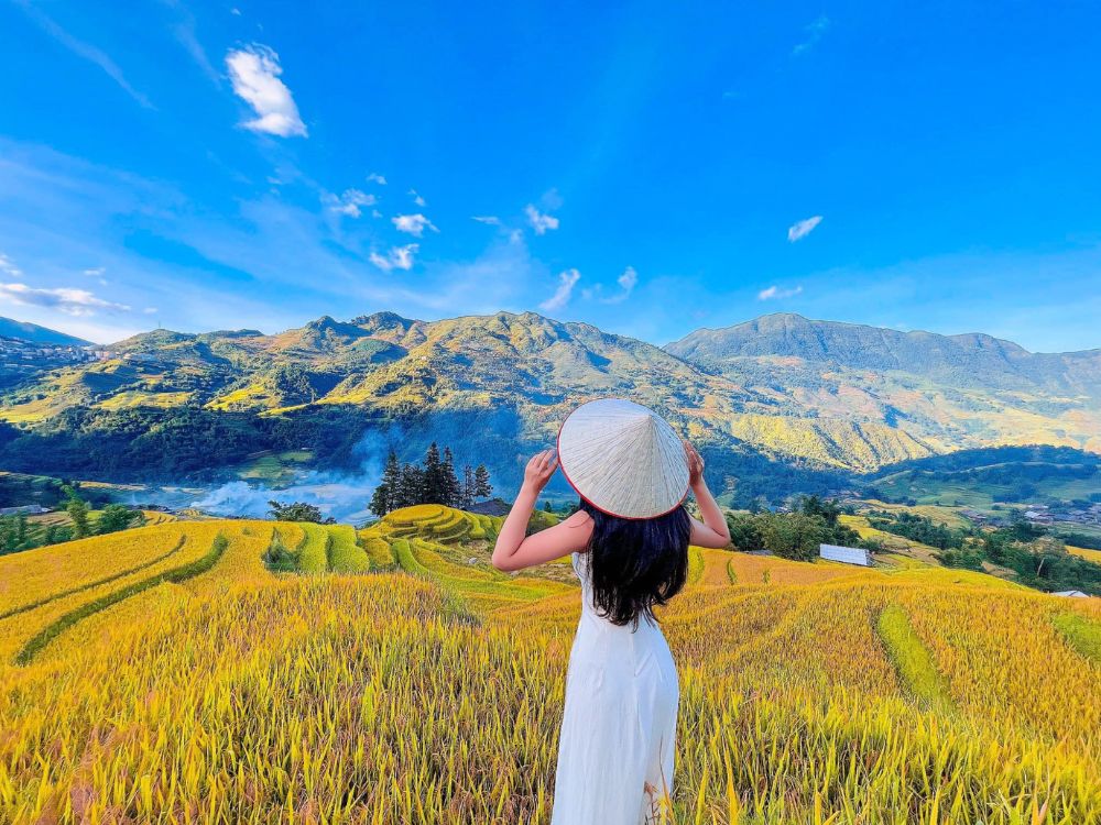 Thời điểm du lịch Sapa mùa lúa chín
