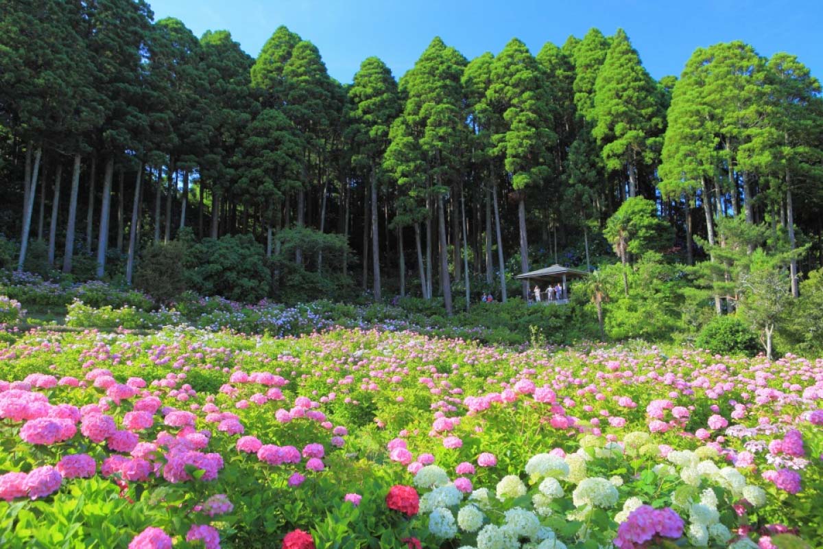 thời tiết khí hậu Nhật Bản tháng 6