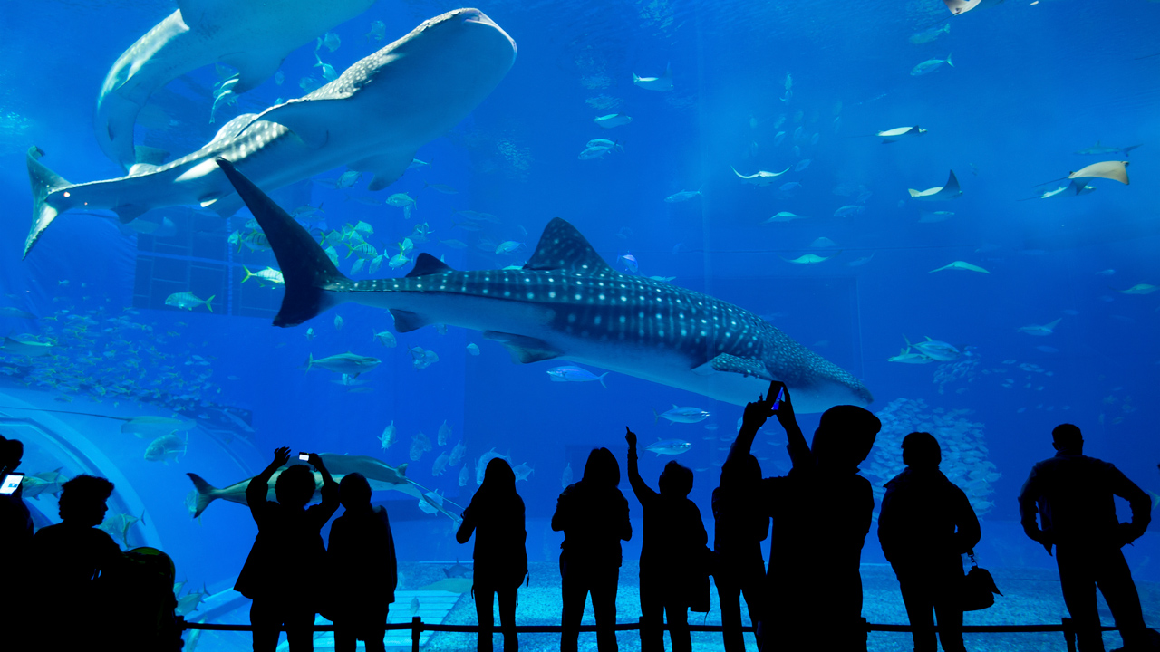 thủy cung thế giới dưới nước