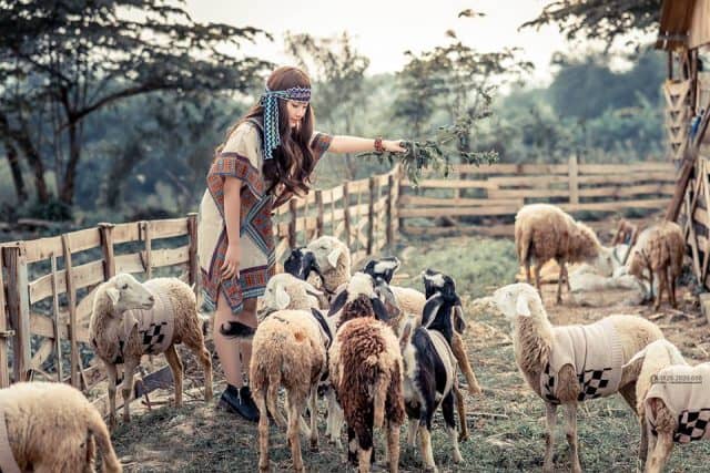 ve-may-bay-vietnam-airlines-di-da-nang-thang-7