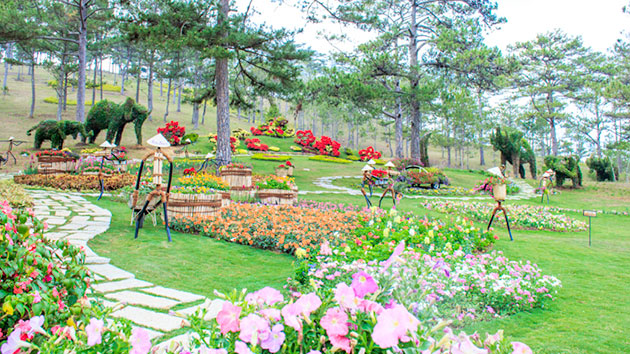 thung-lung-tinh-yeu-da-lat