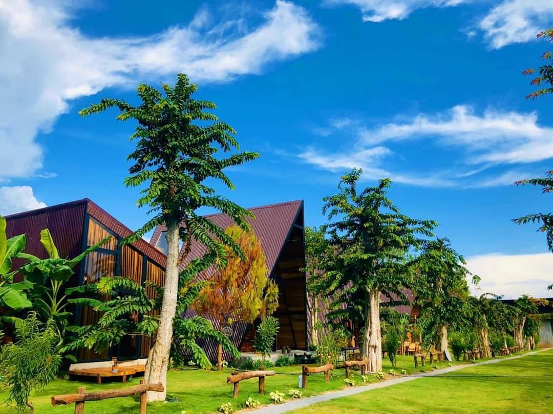 ve-may-bay-vietjet-air-tu-ha-noi-di-pleiku