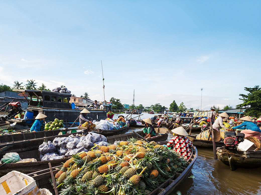 mua trái cây tại chợ nổi Cần Thơ