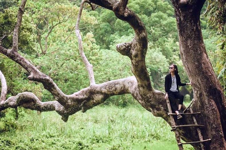 nhat-lam-thuy-trang-tra