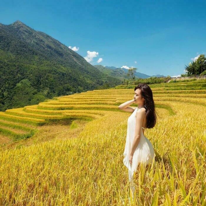 Vẻ đẹp Sapa mùa lúa chín