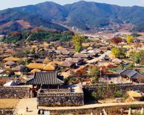 Vé máy bay Đồng Hới đi Seoul giá rẻ chưa từng thấy