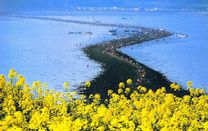 Có vé máy bay Quảng Bình đi Hàn Quốc trong tay, ngại gì nắng hè đổ lửa