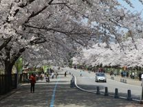 Có vé máy bay Thanh Hóa đi Seoul, ngại gì thử thách