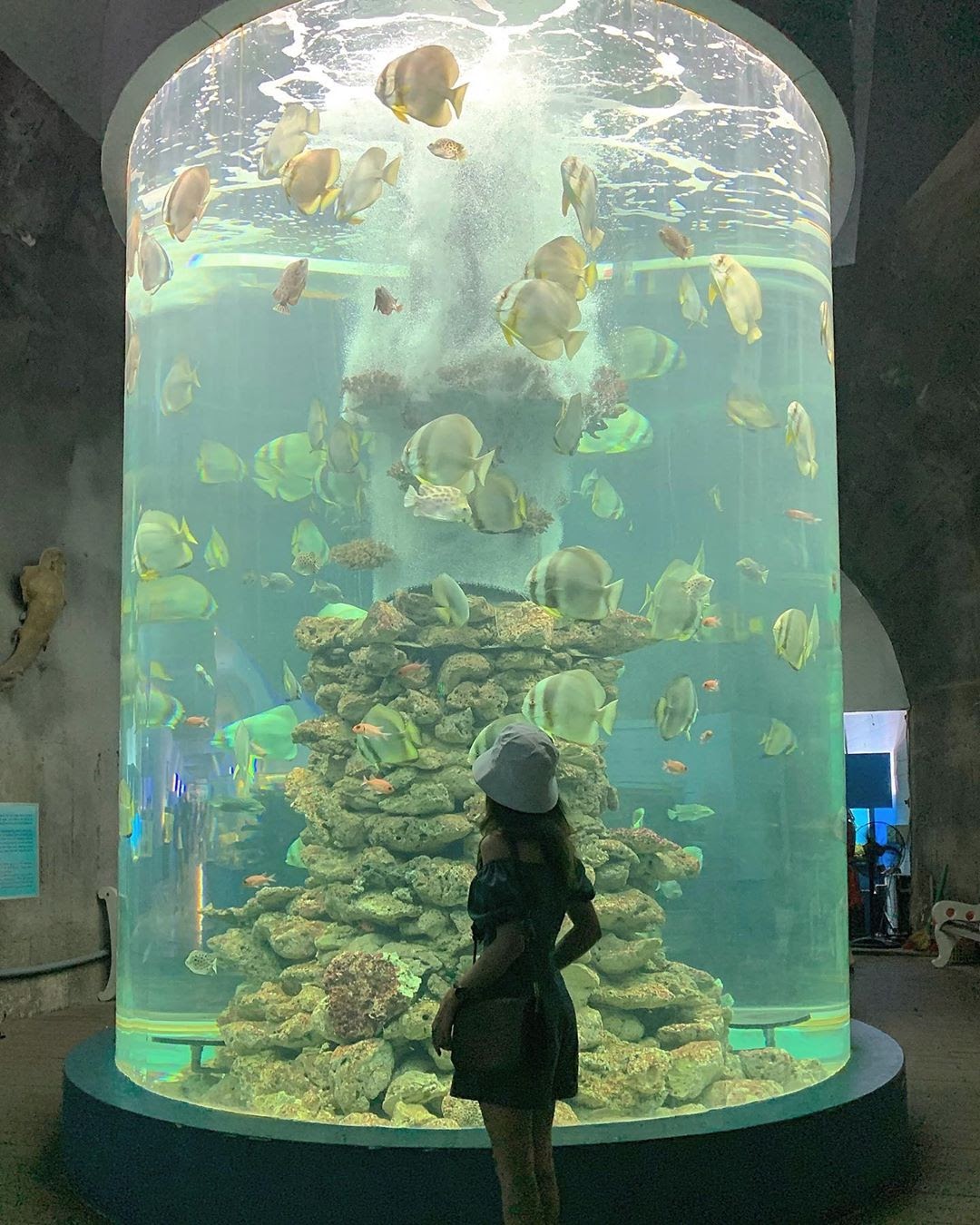 di-nha-trang-mua-nao-dep