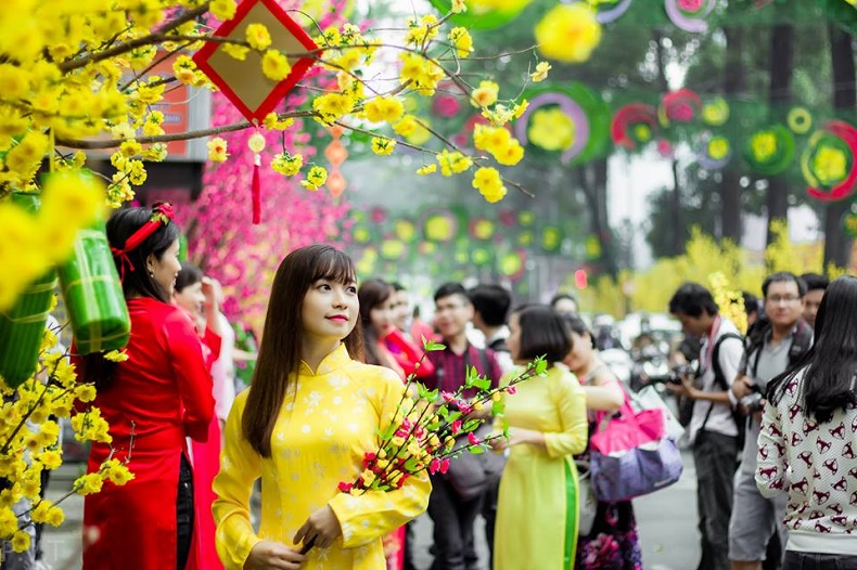 Đào mai nở cũng là lúc mùa xuân đang về
