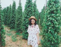 Phú Quốc chơi ở đâu 