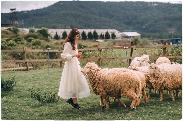 đôi nét về Chika Farm Đà Lạt