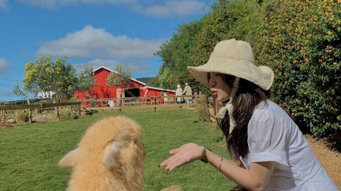 Trang trại phong cách Châu Âu - Chika Farm
