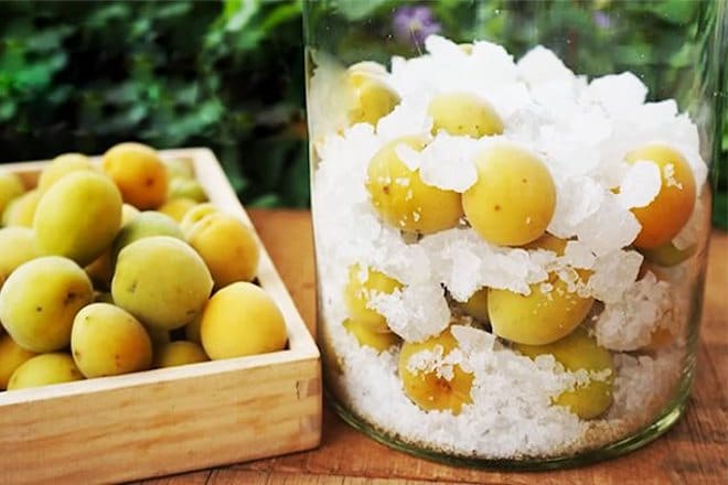 Nước mơ ngâm Hàn Quốc - Ngâm mơ với đường 