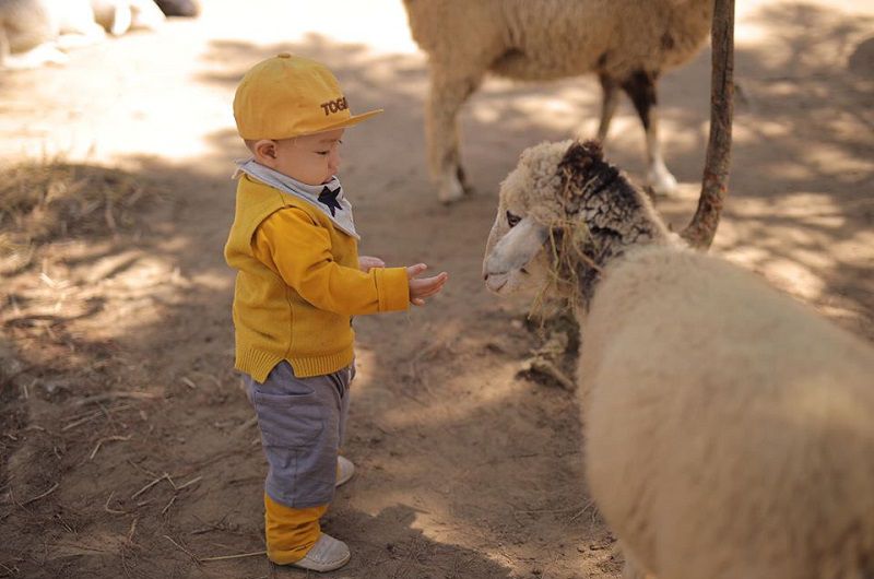 đôi nét về vườn thú Zoodoo Đà Lạt