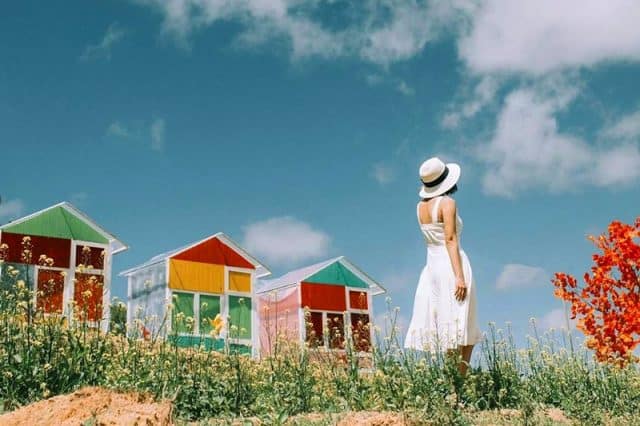 Sunny Farmstay Đà Lạt