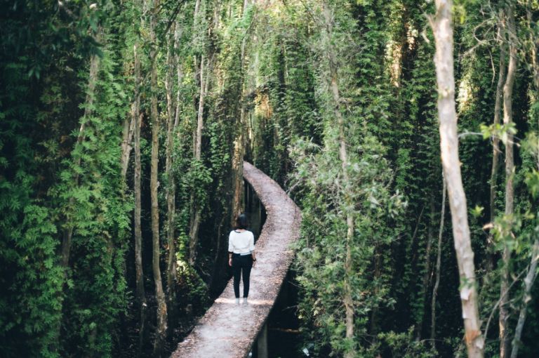 Bến Phà Cần Giờ Vũng Tàu - Khu du lịch Vàm Sát Cần Giờ