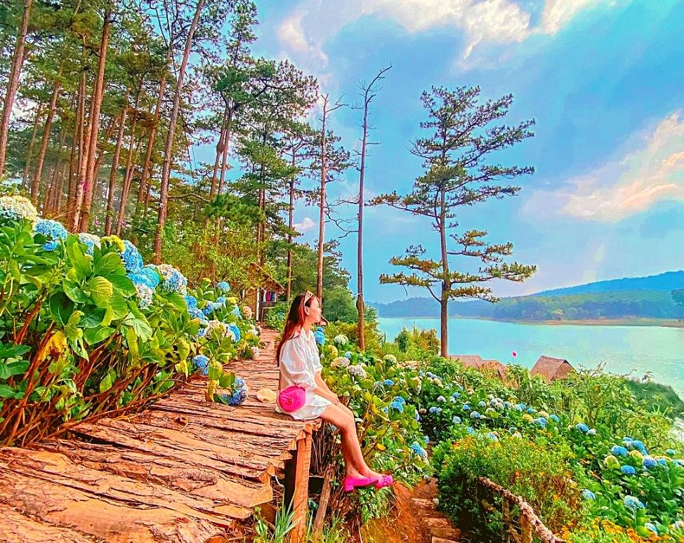 Happy Hill Đà Lạt - Đường hoa cẩm tú cầu 