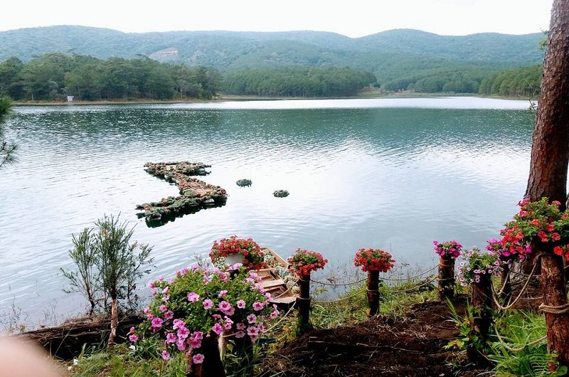 Happy Hill Đà Lạt - Khu sen đá 