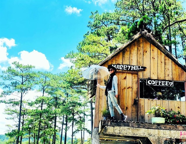 Happy Hill Đà Lạt - Ngôi nhà trên cây 