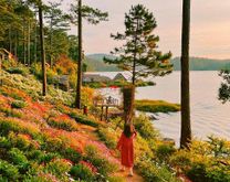 Happy Hill Đà Lạt