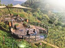 Cà phê F Cánh đồng hoa