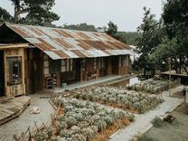 Cafe Túi Mơ To Đà Lạt