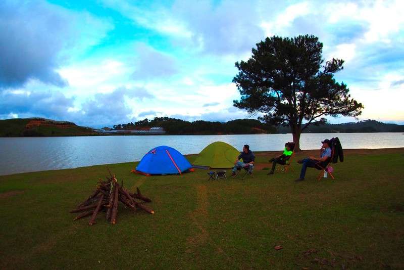 Cây thông Đà Lạt - Cắm trại