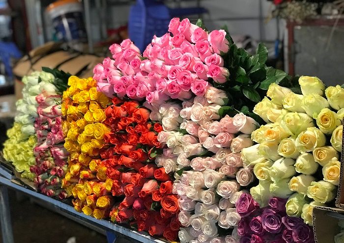 Chợ hoa Hồ Thị Kỷ - Lung linh sắc hoa 