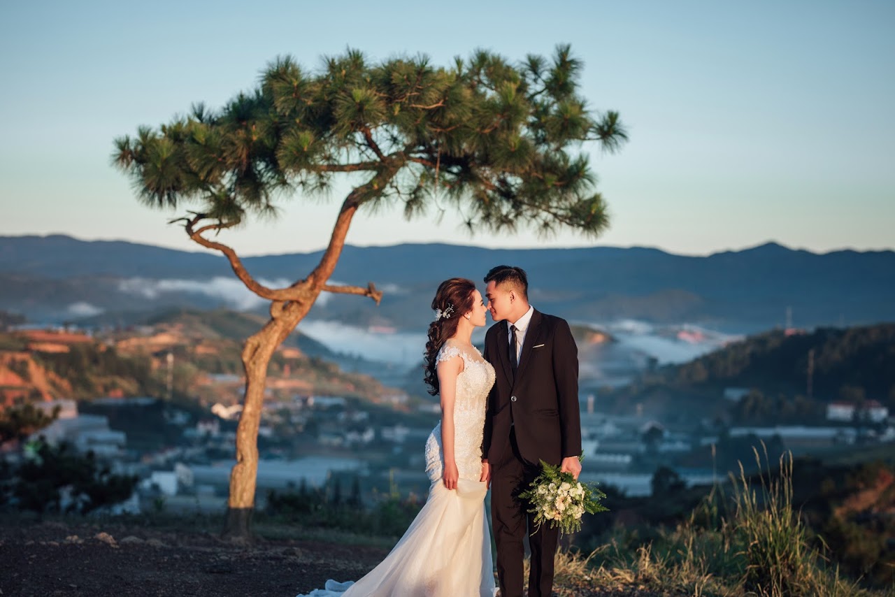 Chụp hình cưới ở Đà Lạt - Đồi trọc Thiên Phúc Đức Đà Lạt