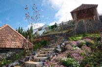 Mây Homestay Đà Lạt